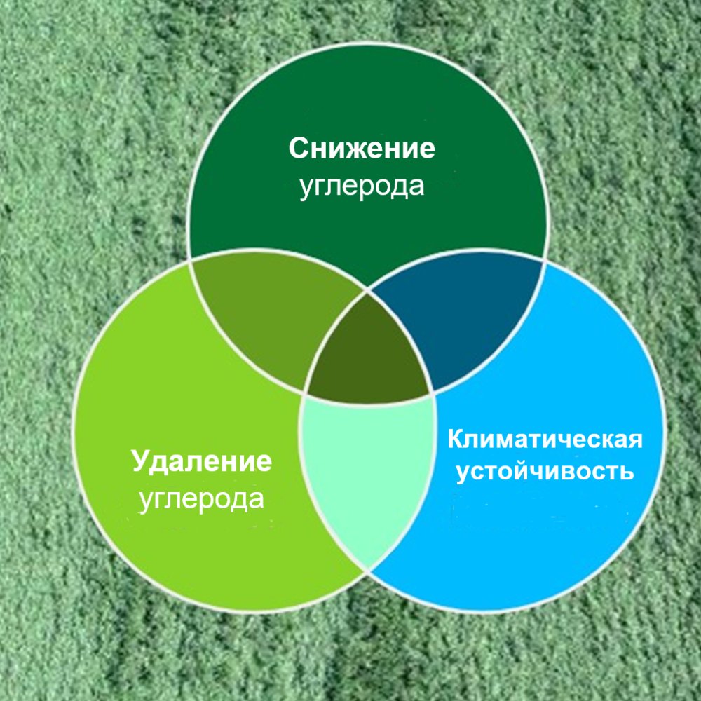 Выбросы Выбросы