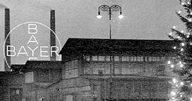 bayerkreuz01.jpg